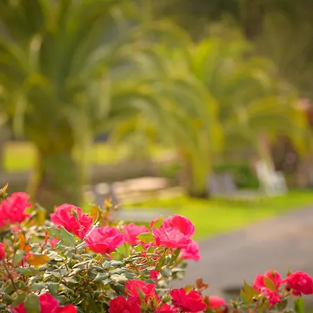 Piscina Climatizada Y Cubierta 365 Dias En Con Encanto El Puentuco De Casas Mas Valoradas De Cantabria Villacarriedo