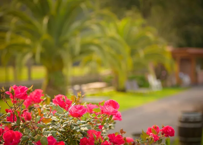 Piscina Climatizada Y Cubierta 365 Dias En Casa Rural Con Encanto El Puentuco Una De Las Casas Mas Valoradas De Cantabria Villacarriedo